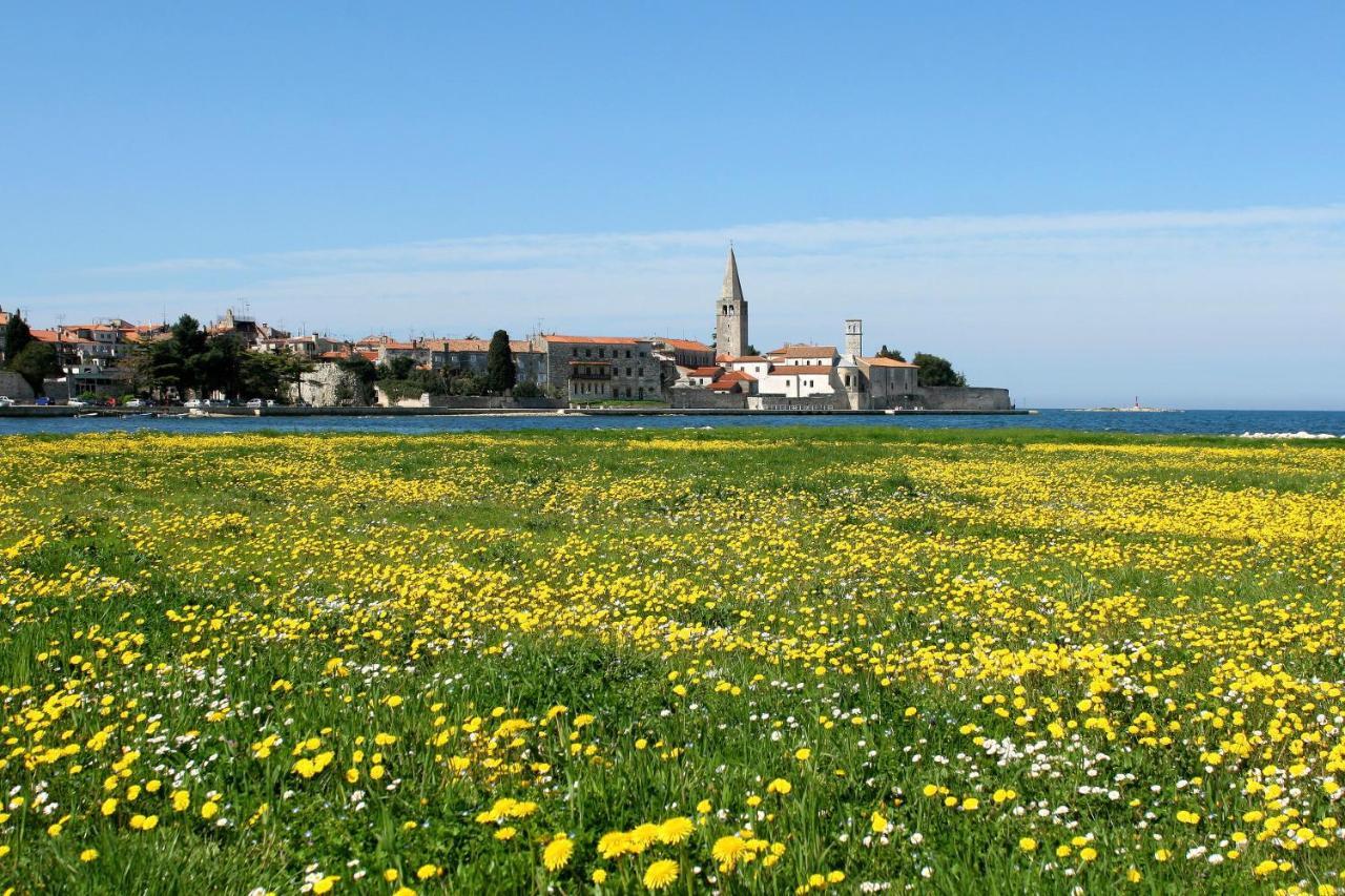 Villa Vita In Porec - Haus Fuer 6-8 Personen Каштелир Экстерьер фото